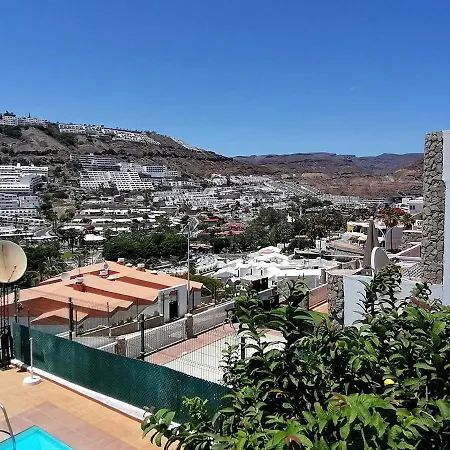 Palmasol *